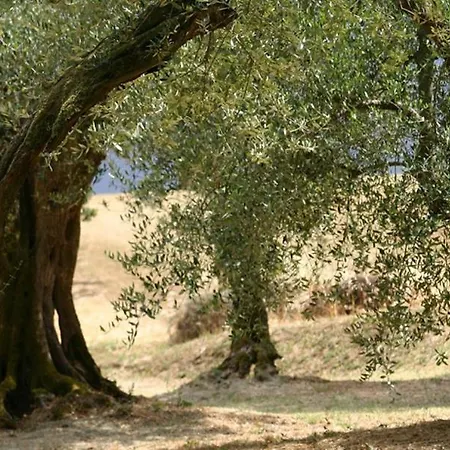 וילה Strada Statale Flaminia Sleeps 17 Pool Wifi